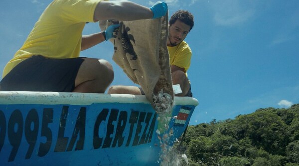 Costa Rica y la IA en la Restauración de Ecosistemas Marinos